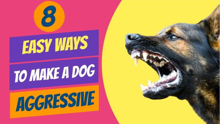 Handling Aggressive Strangers: Stay Calm and Assertive Tips