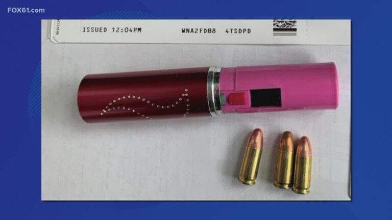 Airport Security Updates: New Policies on Stun Gun Carriage